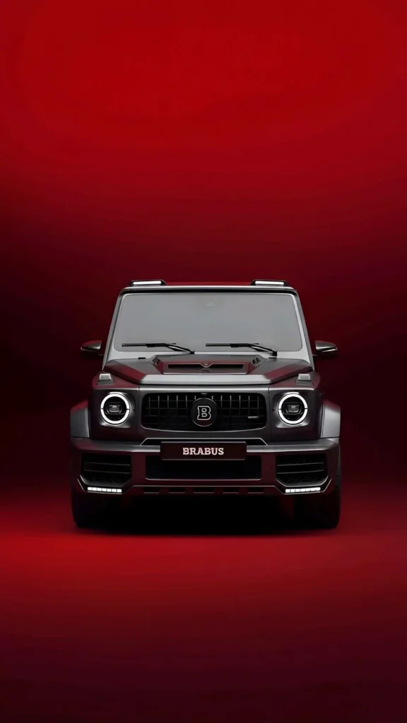 사이트모음 최신 업데이트